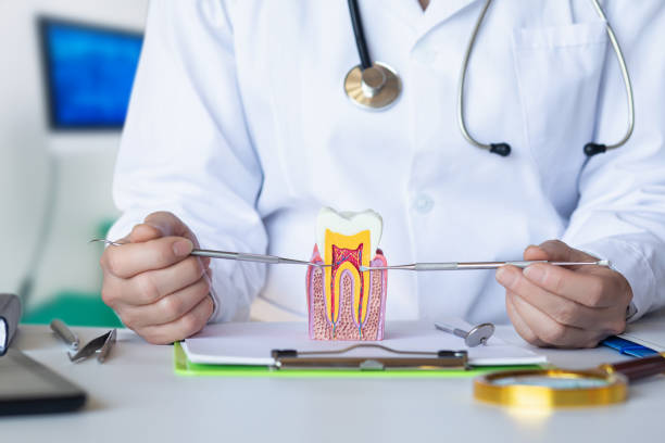 Best Walk-In Emergency Dental Services in Cimarron Hills, CO